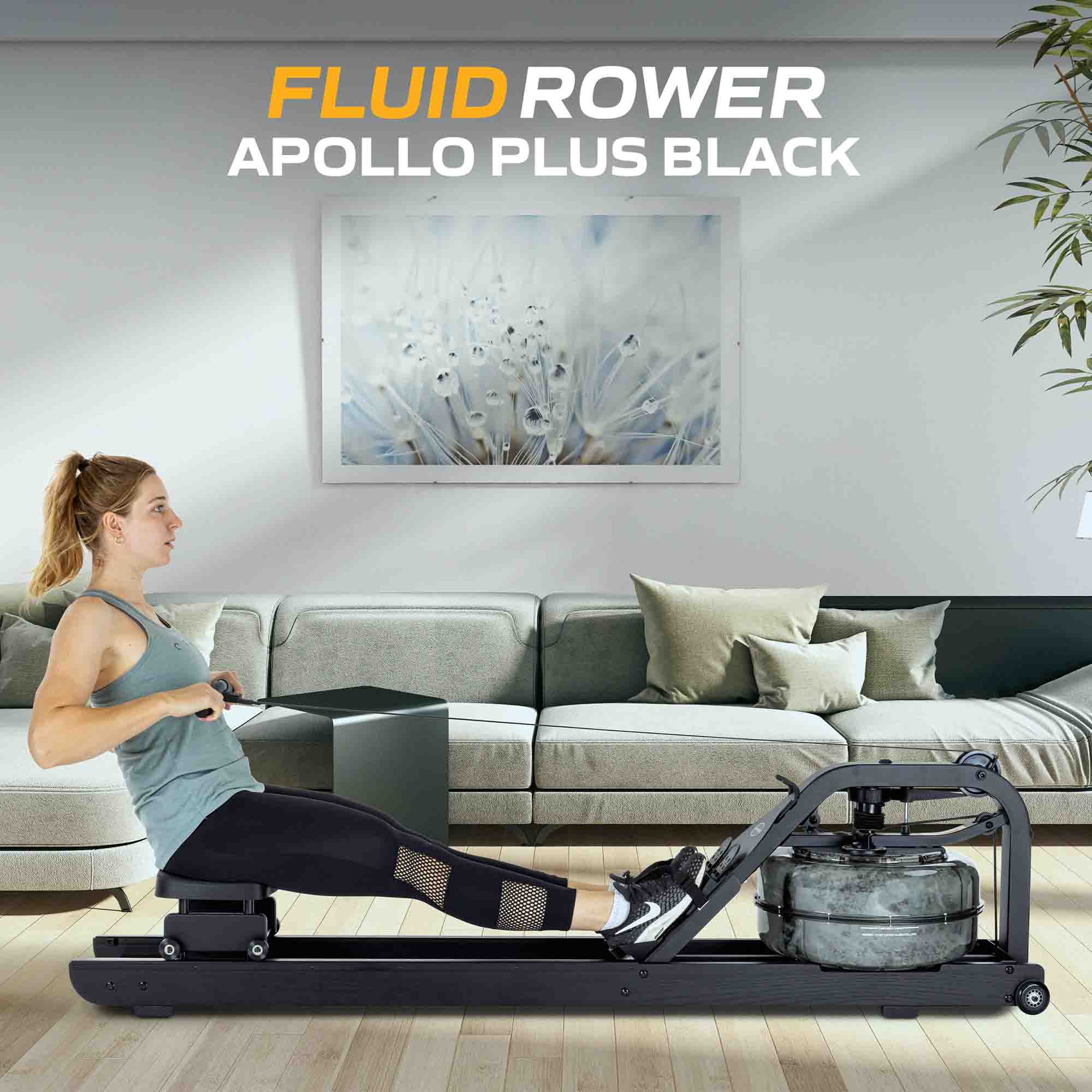 Fluid Rower Rudergerät Apollo Plus Black - Image 18