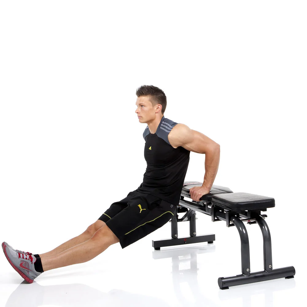 Hammer Finnlo Bio Force Power-Bench - Image 6