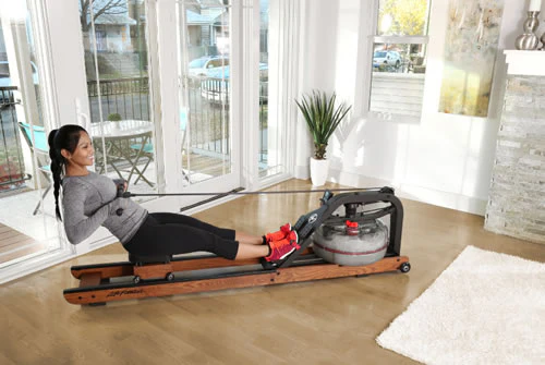 Life Fitness Rudergerät Row HX - Image 5