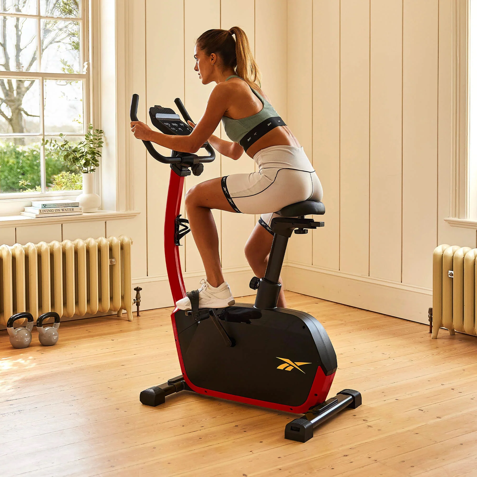 Reebok FR30 Ergometer - Image 19