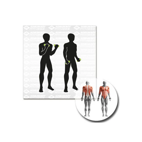 Schildkröt-Fitness Vinyl-Hantel-Set - Image 3
