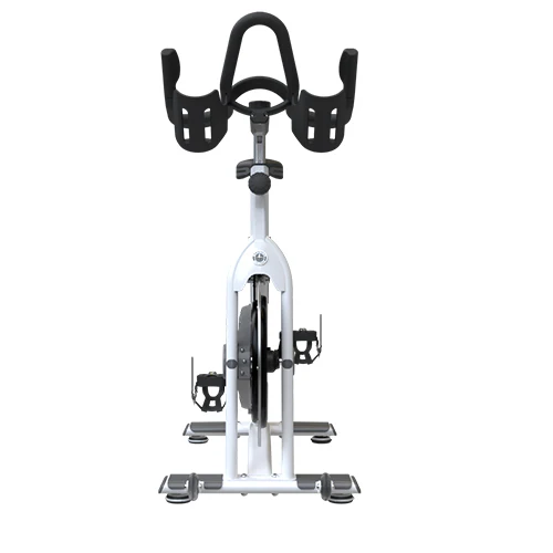 Schwinn Indoor Cycle AC Performance mit Carbon Blue Antriebsriemen - Image 6