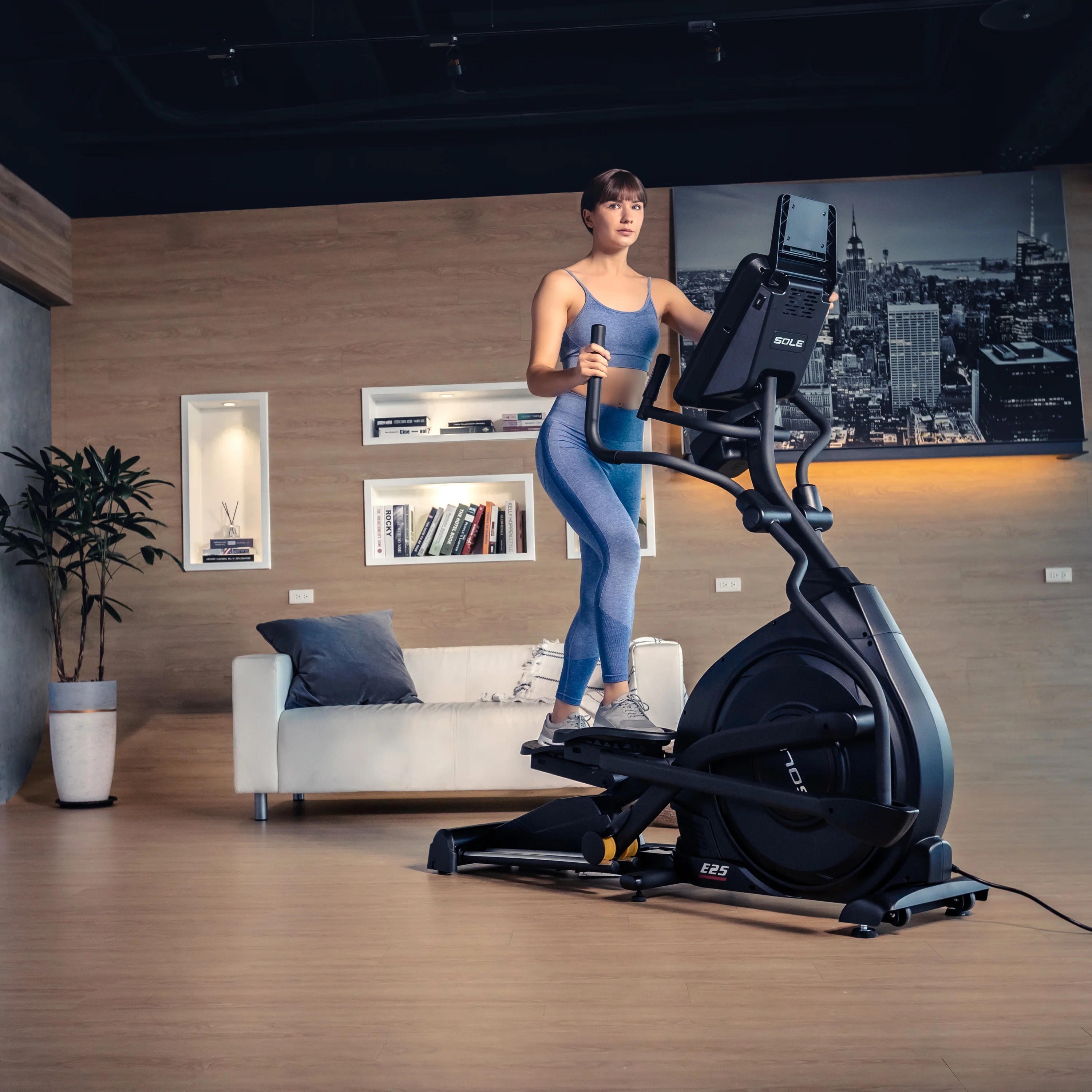 Sole Fitness Ellipsentrainer E25 - Image 2