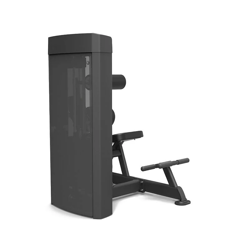 Spirit Fitness Commercial SP-4609 Dual Station Bauch- und Rückentrainer - Image 2