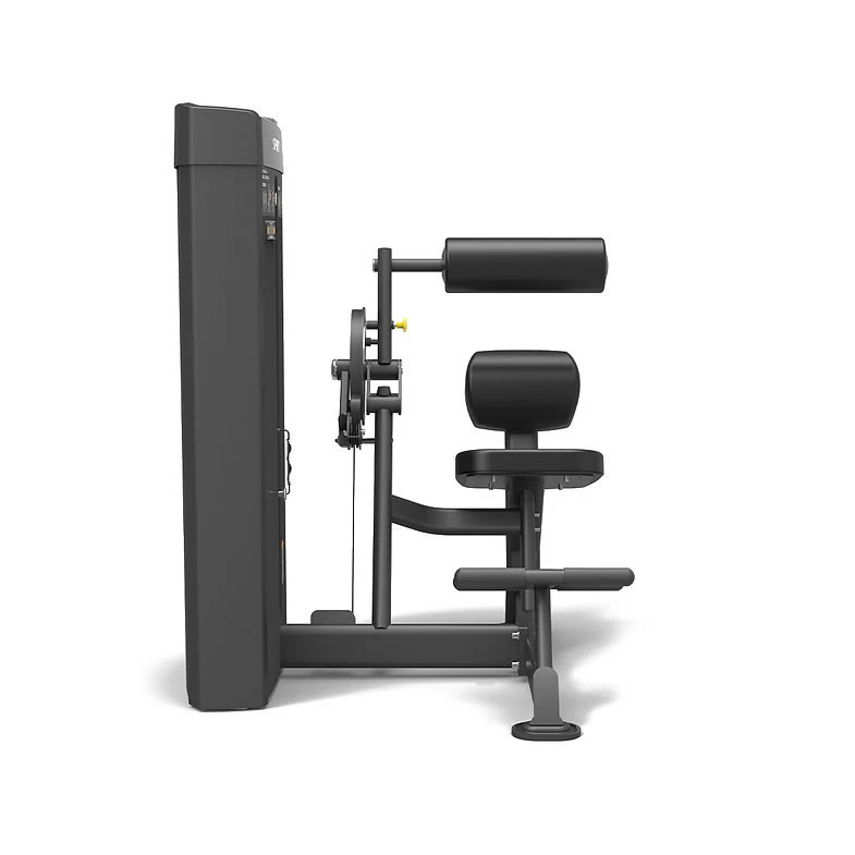 Spirit Fitness Commercial SP-4609 Dual Station Bauch- und Rückentrainer - Image 3