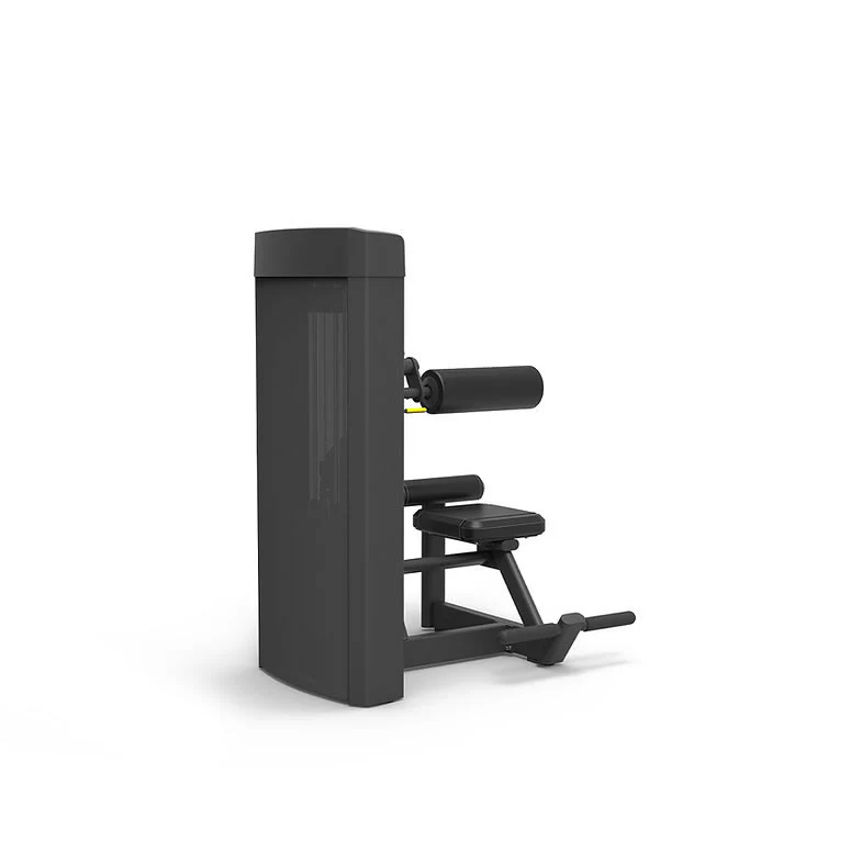 Spirit Fitness Commercial Bauchmuskelmaschine SP-4309 - Image 2