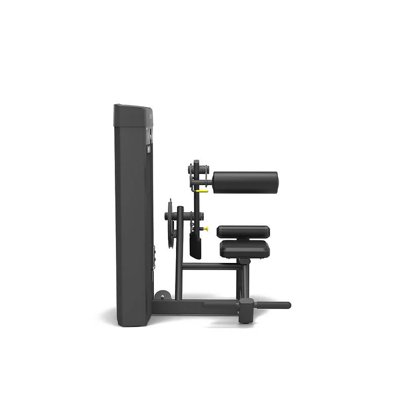 Spirit Fitness Commercial Bauchmuskelmaschine SP-4309 - Image 3