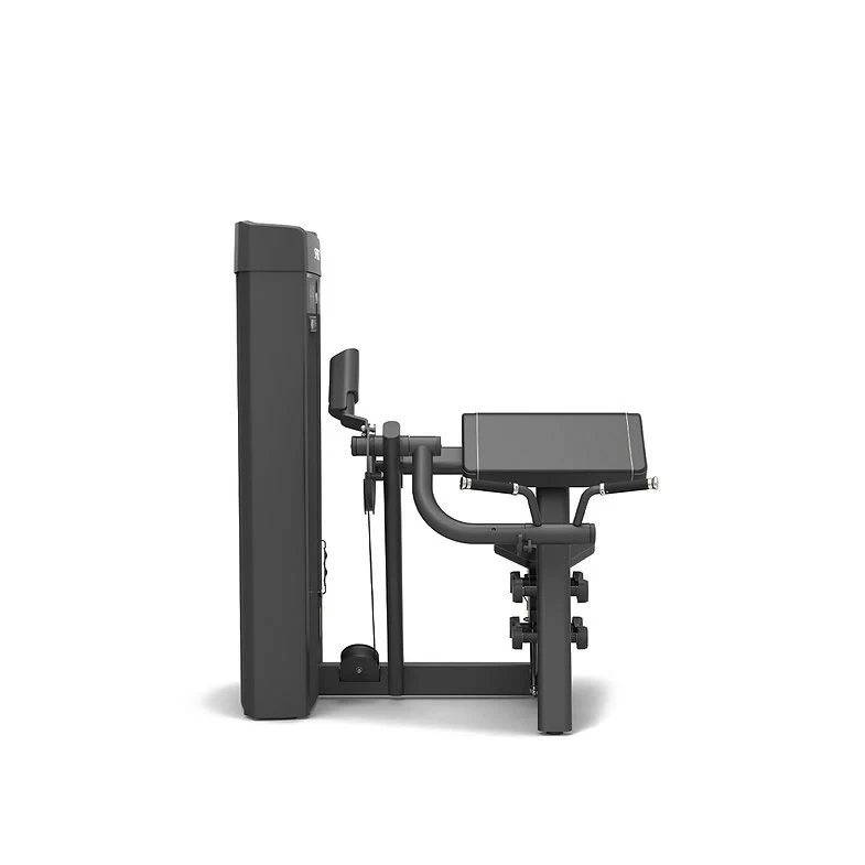Spirit Fitness Commercial Bizepsmaschine SP-4307 - Image 3