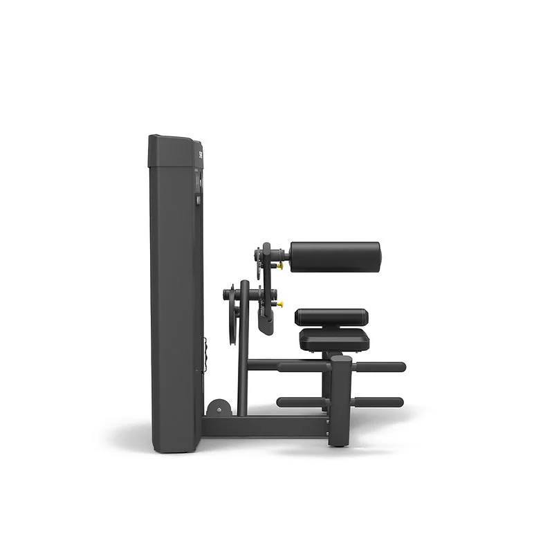Spirit Fitness Commercial Rückenstrecker SP-4310 - Image 3