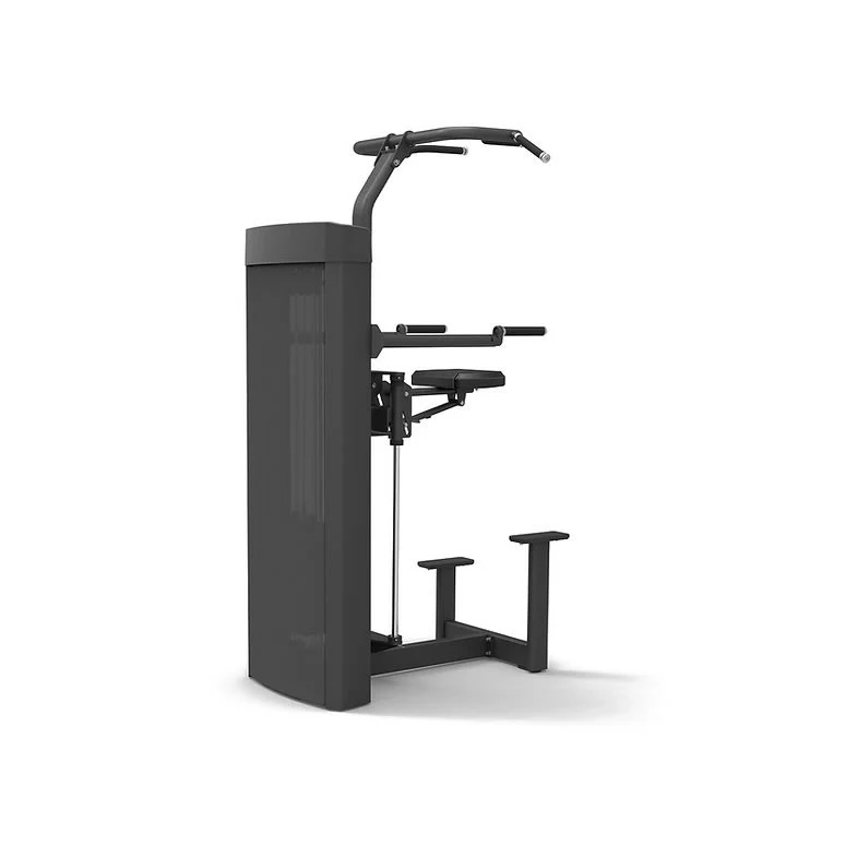 Spirit Fitness Commercial SP-4314 Klimmzug Dipstation - Image 2
