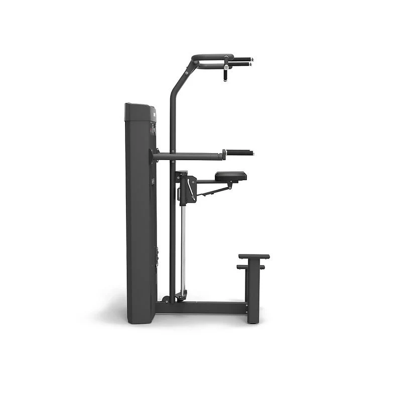 Spirit Fitness Commercial SP-4314 Klimmzug Dipstation - Image 3