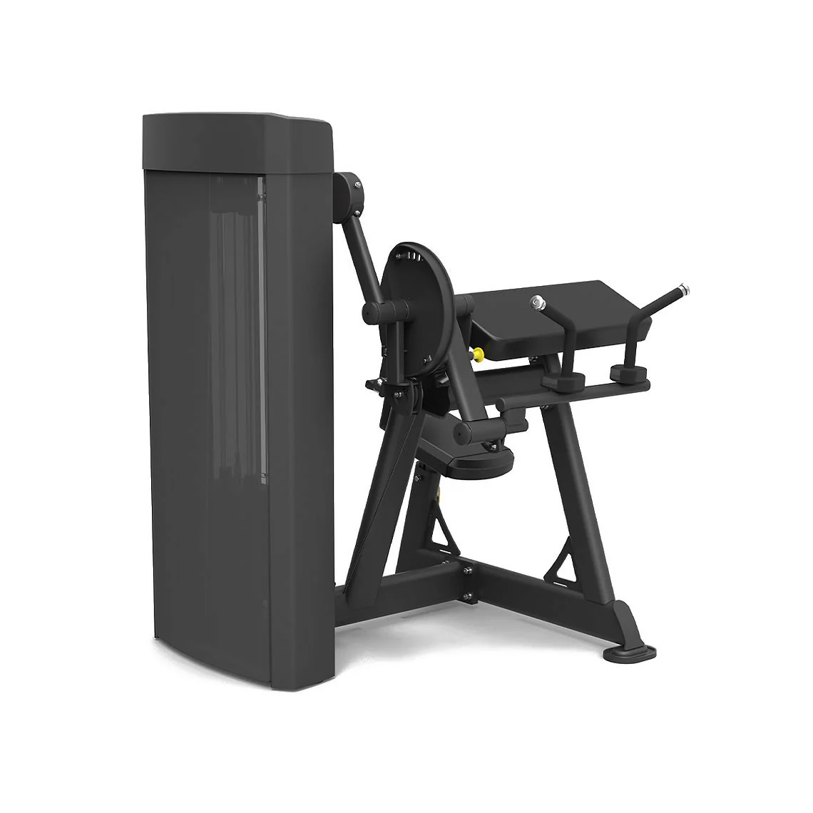 Spirit Fitness Commercial SP-4607 Dual Station Bizepsmaschine / Trizepsstrecker - Image 2