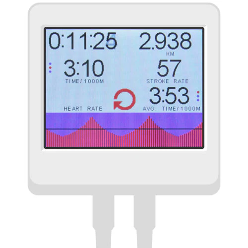 ThoraxTrainer Ski-Ergometer Home Elite Vorführgerät - Image 3