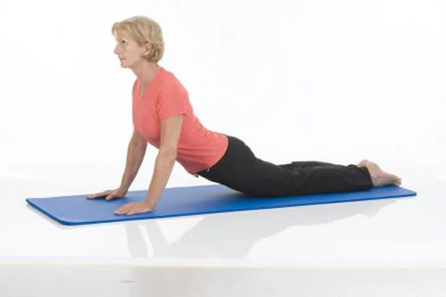 Togu Premium Piloga - Image 3