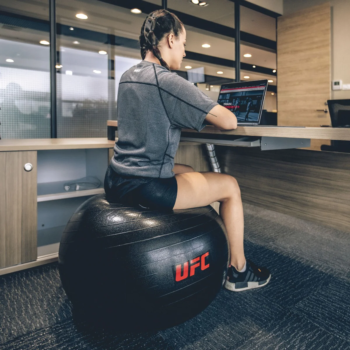 UFC FITBALL Gymnastikball - Image 14
