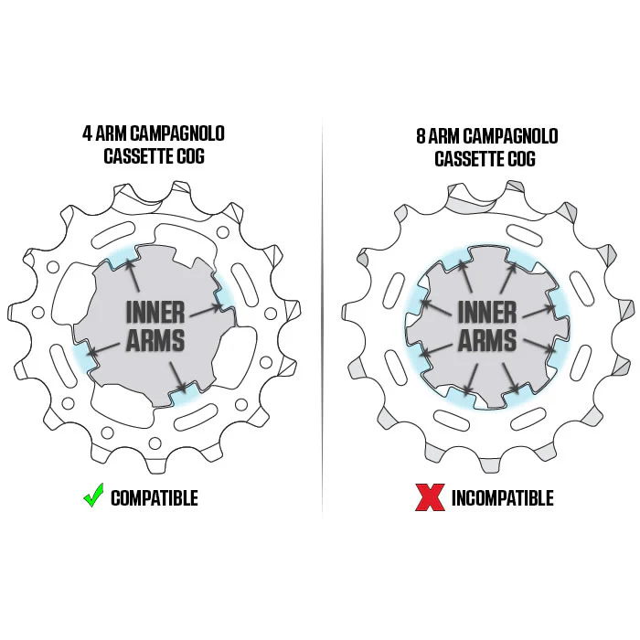 Wahoo Campagnolo Freilaufkörper für KICKR & CORE 2018 - Image 3
